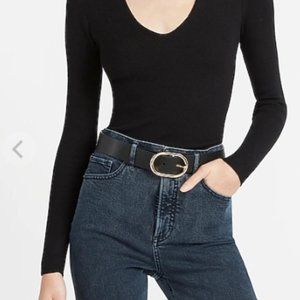 NWT Express Fitted V-Neck Sweater